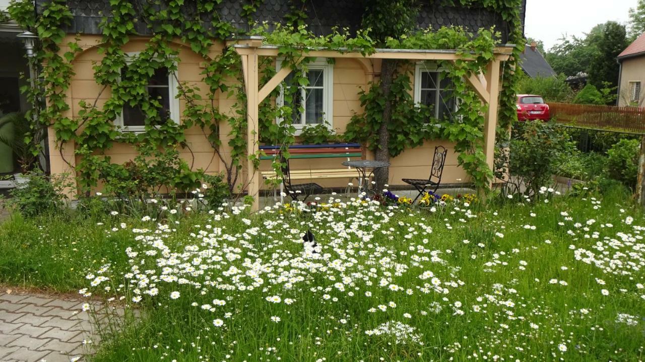 Privatzimmer Lehmann Kottmar ภายนอก รูปภาพ